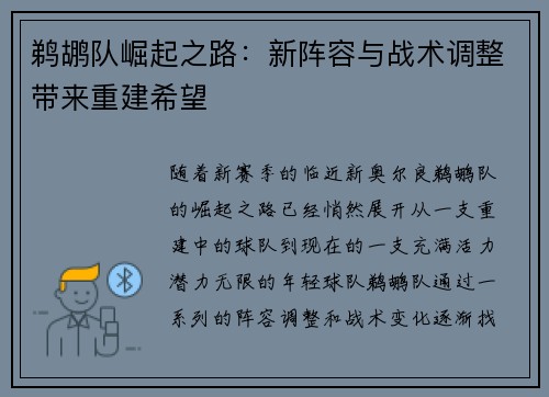 鹈鹕队崛起之路：新阵容与战术调整带来重建希望